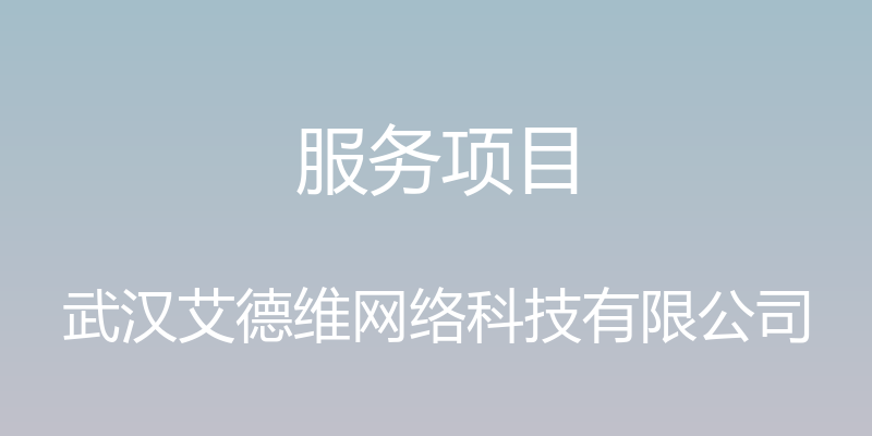 服务项目 - 武汉艾德维网络科技有限公司