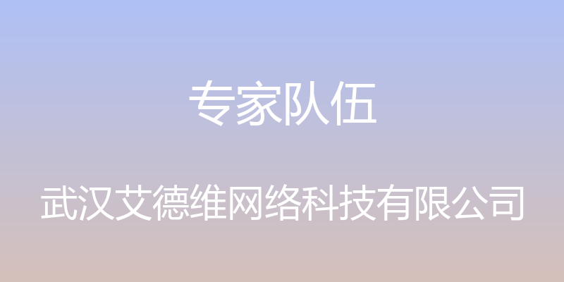 专家队伍 - 武汉艾德维网络科技有限公司